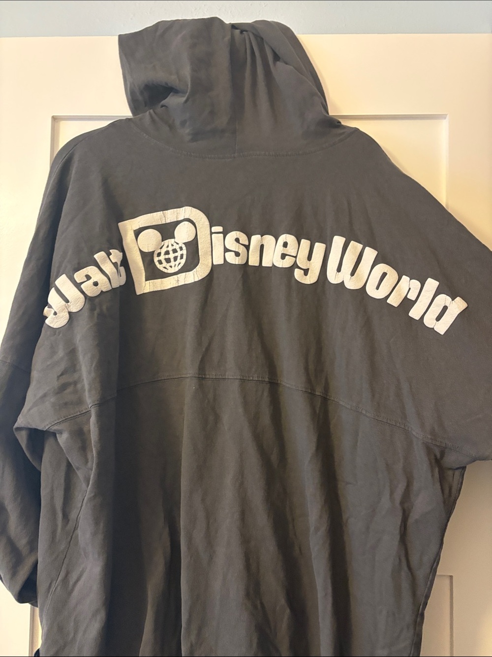 Disneyworld Spirt Jersey with hood - Picture 3 of 4